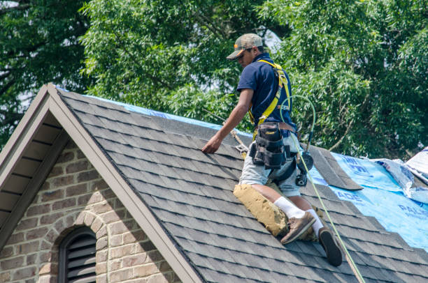 Best Roof Gutter Cleaning  in Crestwood Village, NJ